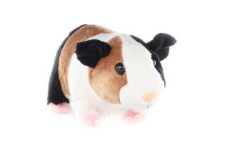 Obrázek z Morče plyš 20cm(6) 